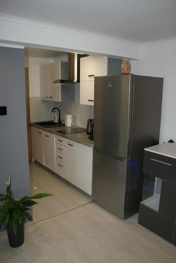 Apartament Na Gorce Miedzybrodzie Bialskie